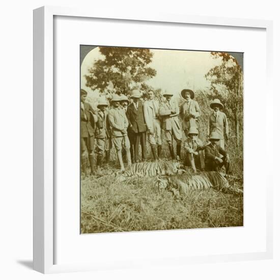 Tiger Hunting, Cooch Behar, West Bengal, India, C1900s-Underwood & Underwood-Framed Photographic Print