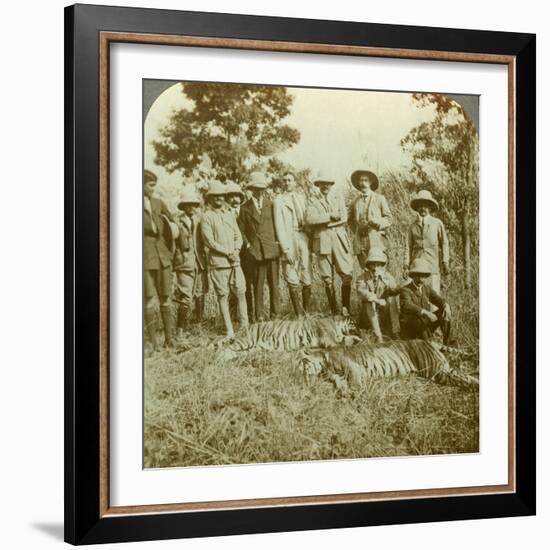 Tiger Hunting, Cooch Behar, West Bengal, India, C1900s-Underwood & Underwood-Framed Photographic Print