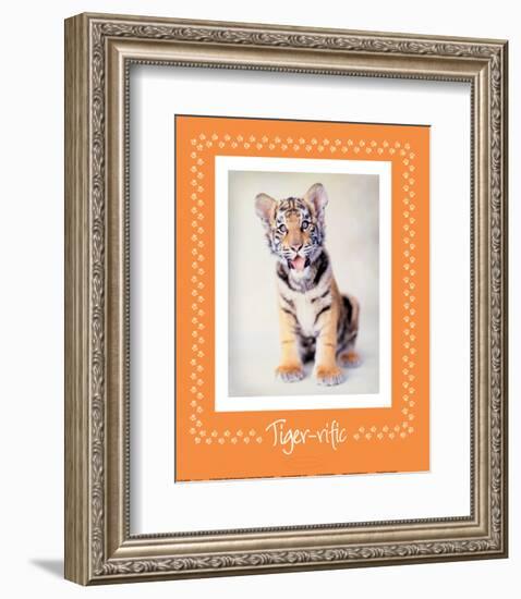 Tiger-Ific-Rachael Hale-Framed Premium Giclee Print
