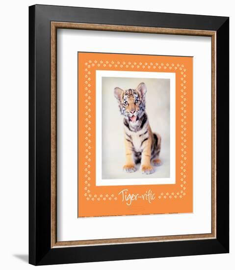 Tiger-Ific-Rachael Hale-Framed Premium Giclee Print