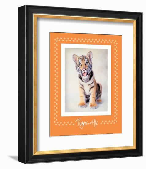 Tiger-Ific-Rachael Hale-Framed Premium Giclee Print