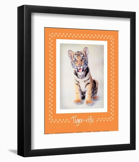 Tiger-Ific-Rachael Hale-Framed Premium Giclee Print