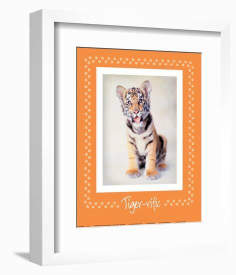 Tiger-Ific-Rachael Hale-Framed Premium Giclee Print