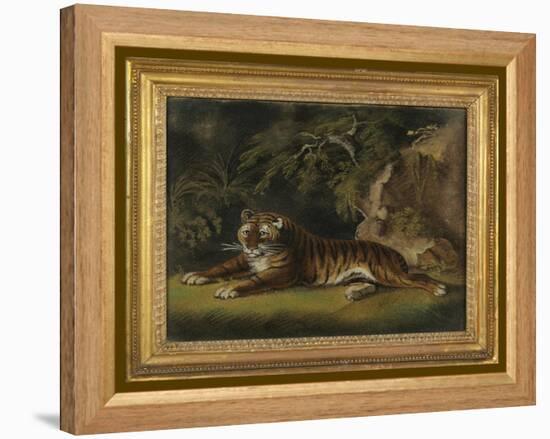 Tiger in a Jungle Landscape-Benjamin Zobel-Framed Premier Image Canvas