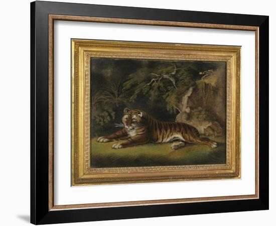 Tiger in a Jungle Landscape-Benjamin Zobel-Framed Giclee Print