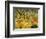 Tiger in a Tropical Storm (Surprised!) 1891-Henri Rousseau-Framed Premium Giclee Print