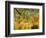 Tiger in a Tropical Storm (Surprised!) 1891-Henri Rousseau-Framed Premium Giclee Print