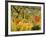 Tiger in a Tropical Storm (Surprised!) 1891-Henri Rousseau-Framed Giclee Print