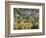 Tiger in a Tropical Storm (Surprised!)-Henri Rousseau-Framed Art Print