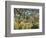 Tiger in a Tropical Storm (Surprised!)-Henri Rousseau-Framed Art Print