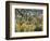 Tiger in a Tropical Storm (Surprised!)-Henri Rousseau-Framed Art Print