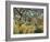 Tiger in a Tropical Storm (Surprised!)-Henri Rousseau-Framed Art Print