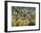 Tiger in a Tropical Storm (Surprised!)-Henri Rousseau-Framed Art Print