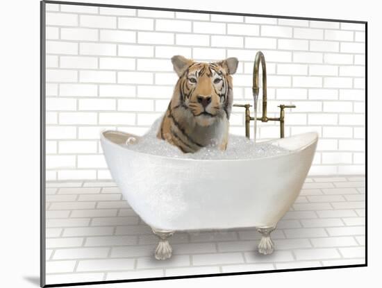 Tiger In Bathtub-Matthew Piotrowicz-Mounted Art Print