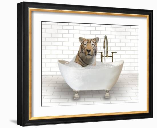 Tiger In Bathtub-Matthew Piotrowicz-Framed Art Print