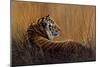 Tiger in Grass-Harro Maass-Mounted Giclee Print