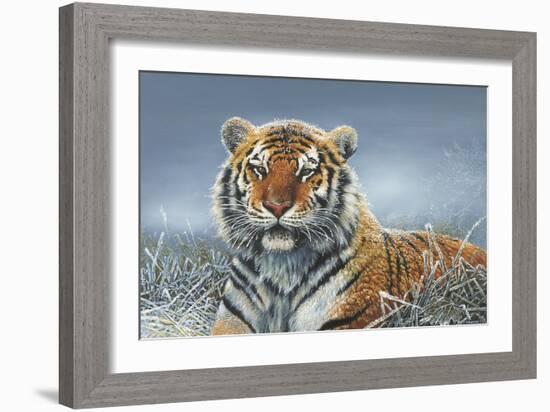 Tiger in Snow-Harro Maass-Framed Giclee Print