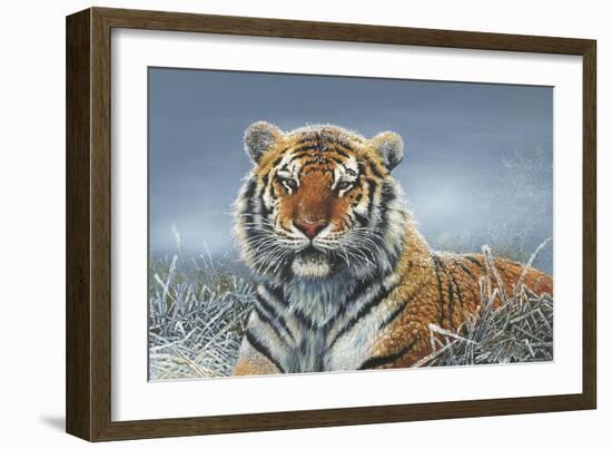 Tiger in Snow-Harro Maass-Framed Giclee Print