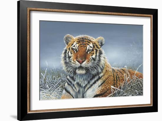 Tiger in Snow-Harro Maass-Framed Giclee Print