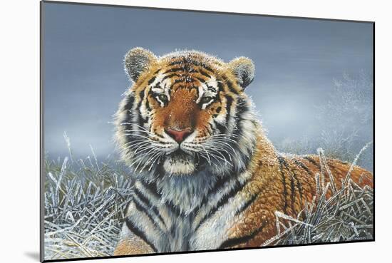 Tiger in Snow-Harro Maass-Mounted Giclee Print
