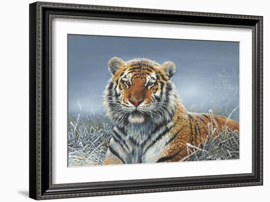 Tiger in Snow-Harro Maass-Framed Giclee Print