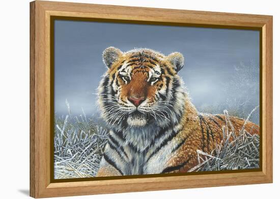 Tiger in Snow-Harro Maass-Framed Premier Image Canvas