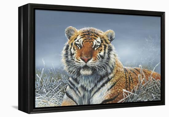 Tiger in Snow-Harro Maass-Framed Premier Image Canvas