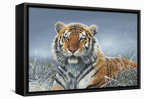 Tiger in Snow-Harro Maass-Framed Premier Image Canvas