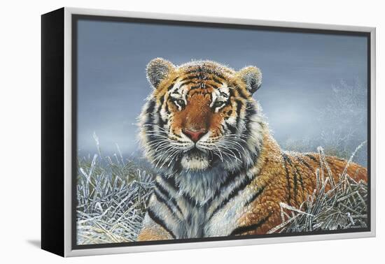Tiger in Snow-Harro Maass-Framed Premier Image Canvas