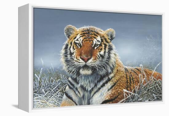 Tiger in Snow-Harro Maass-Framed Premier Image Canvas