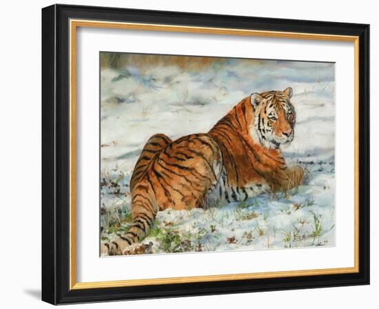 Tiger in Snow-David Stribbling-Framed Art Print