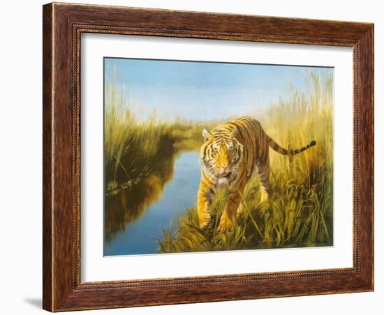 Tiger In The Indian Sunderbans-Leonard Pearman-Framed Art Print