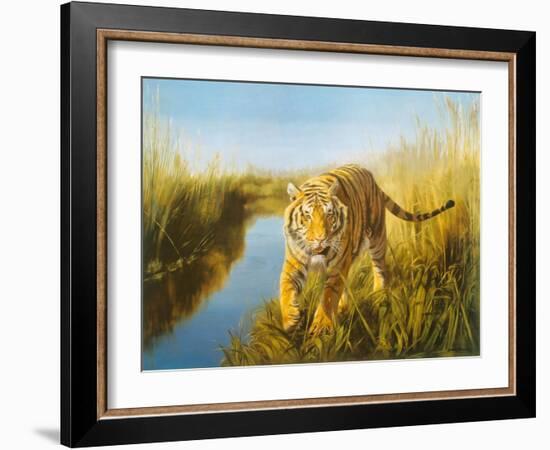 Tiger In The Indian Sunderbans-Leonard Pearman-Framed Art Print