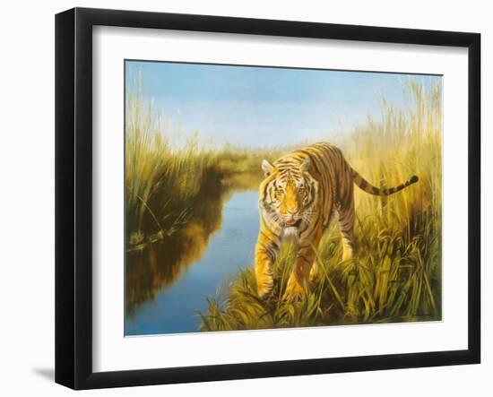 Tiger In The Indian Sunderbans-Leonard Pearman-Framed Art Print