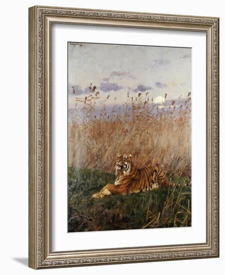 Tiger in the Rushes-Geza Vastagh-Framed Giclee Print