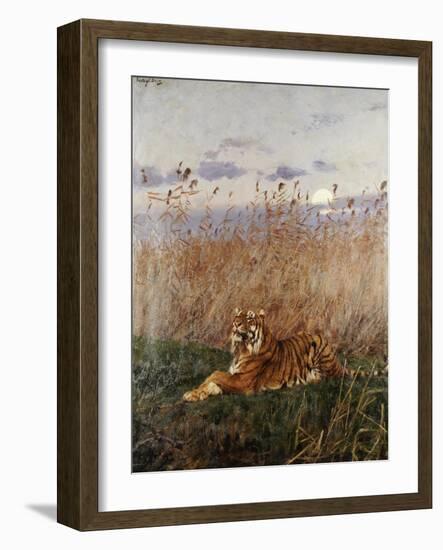 Tiger in the Rushes-Geza Vastagh-Framed Giclee Print