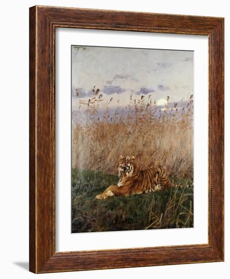 Tiger in the Rushes-Geza Vastagh-Framed Giclee Print