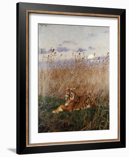 Tiger in the Rushes-Geza Vastagh-Framed Giclee Print