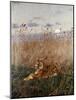 Tiger in the Rushes-Geza Vastagh-Mounted Giclee Print