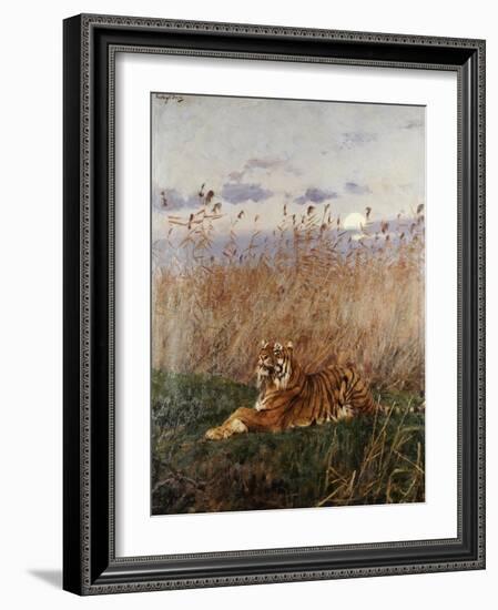 Tiger in the Rushes-Geza Vastagh-Framed Giclee Print