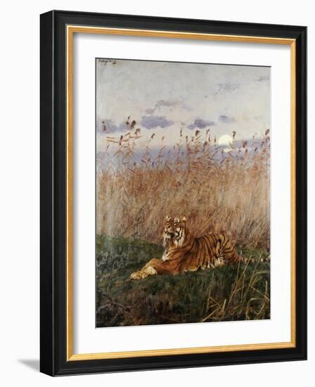 Tiger in the Rushes-Geza Vastagh-Framed Giclee Print