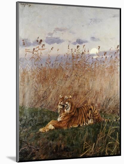 Tiger in the Rushes-Geza Vastagh-Mounted Premium Giclee Print