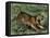 Tiger in the Wild, 1800s-null-Framed Premier Image Canvas