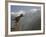 Tiger Leaping Gorge, Yangtze River, Yunnan, China, Asia-Rolf Richardson-Framed Photographic Print