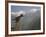 Tiger Leaping Gorge, Yangtze River, Yunnan, China, Asia-Rolf Richardson-Framed Photographic Print