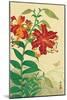 Tiger Lilies and Butterfly-Koson Ohara-Mounted Giclee Print