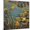 Tiger Lilies-unknown Schuster-Mounted Art Print