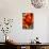 Tiger Lillies VI-Robert Goldwitz-Photographic Print displayed on a wall