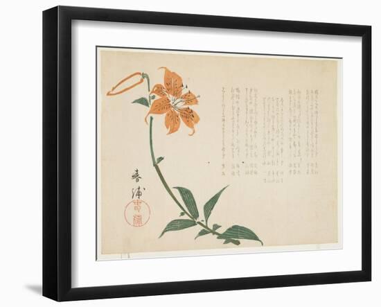 Tiger Lily, C.1861-64-Shumpo-Framed Giclee Print