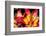 Tiger Lily Flowers-null-Framed Photographic Print